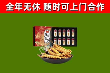 阜康回收冬虫夏草价格